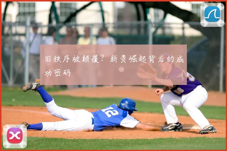 旧秩序被颠覆？新贵崛起背后的成功密码