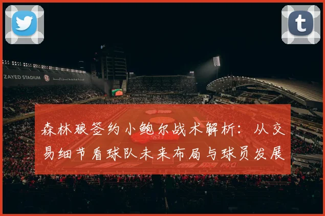 森林狼签约小鲍尔战术解析:从交易细节看球队未来布局与球员发展前景